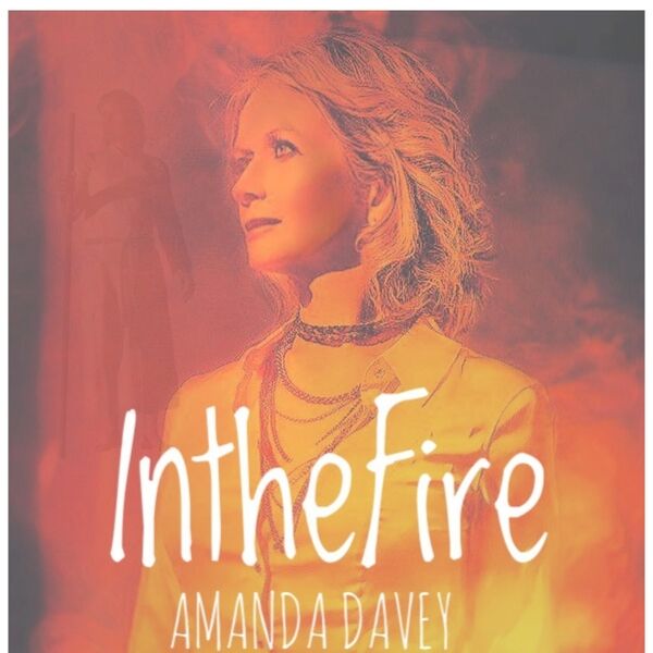 Cover art for In the Fire